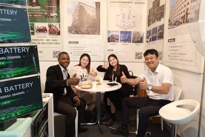 Energy Storage Battery